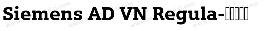 Siemens AD VN Regula字体转换